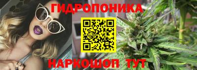 гидра Ливны