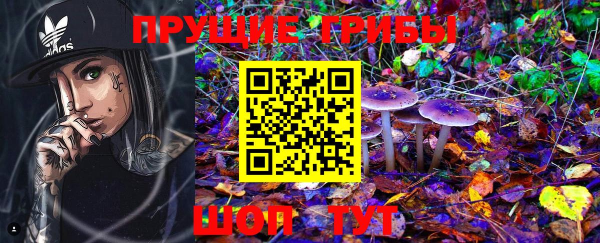 Псилоцибиновые грибы MAGIC MUSHROOMS  где купить наркотик  Избербаш  Вход с VPN 